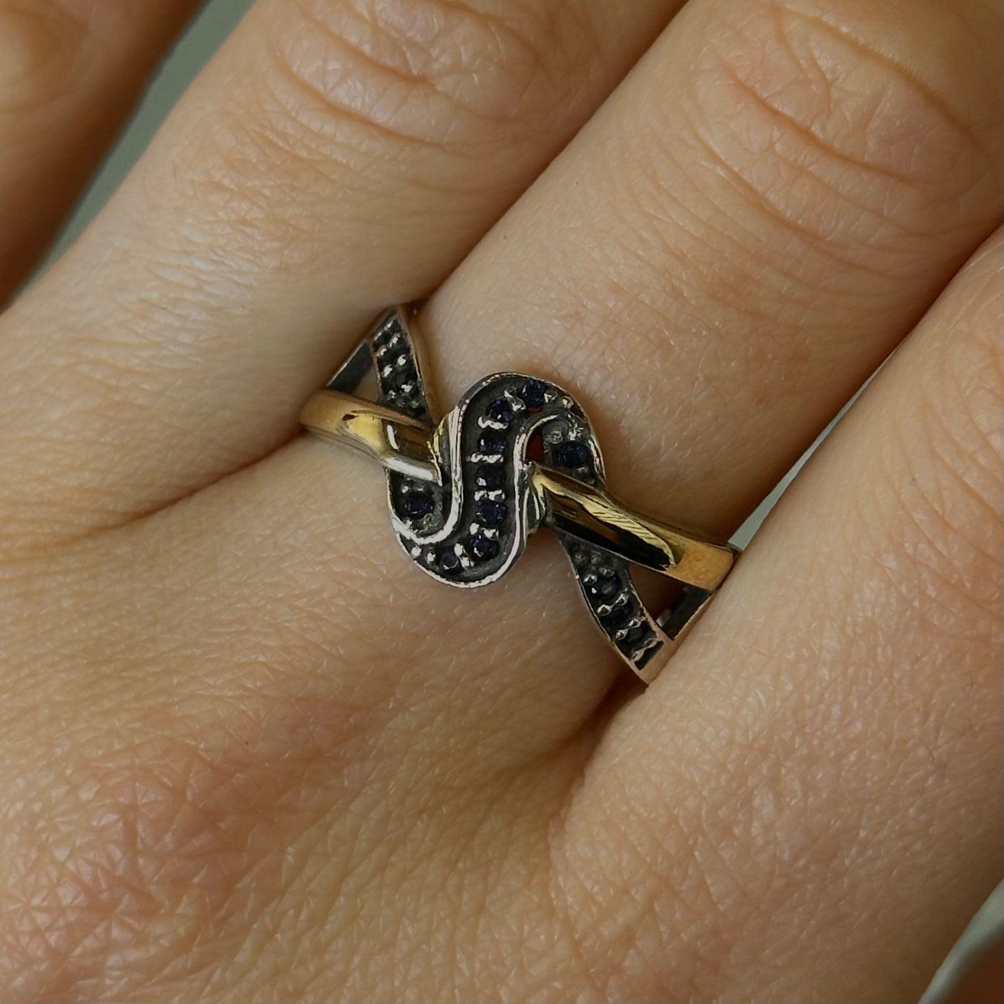 Anillo Delma